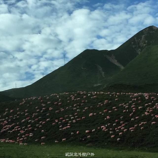 734973e4c7bf61bbcddcd06553377a15_big