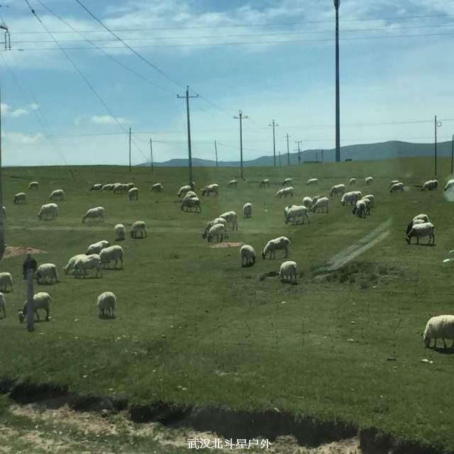 854871df2f3283280e03ba3635883392_big