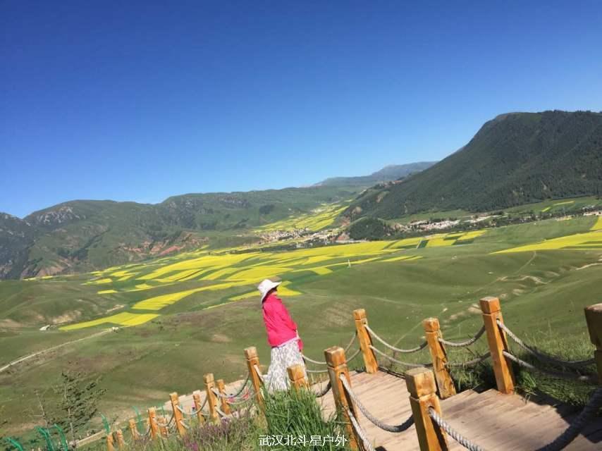 918294f554c7943eee082f19a1d129d4_big