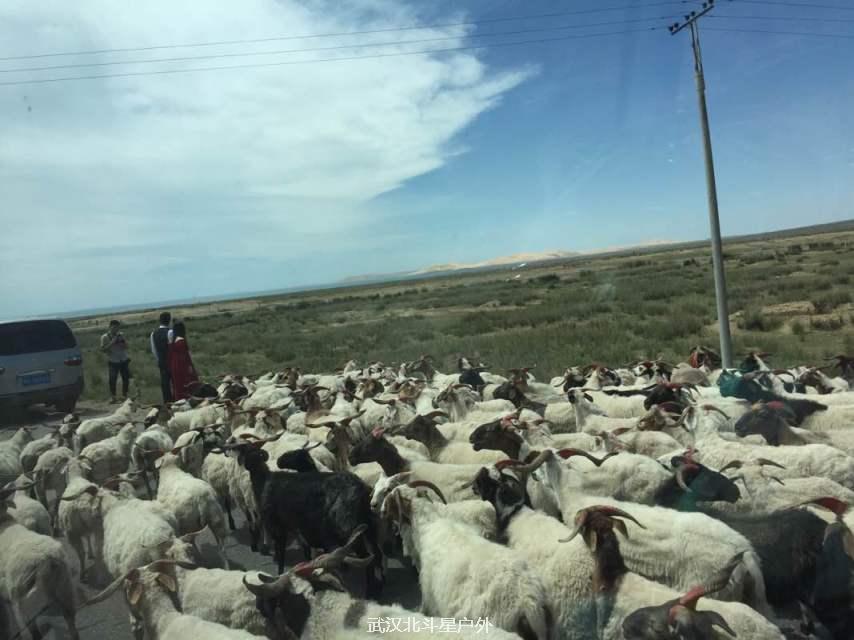 a2afde98e536f1b4f10886c13556233b_big