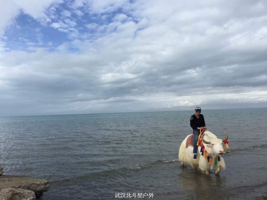 b97aae1474733ceebfb84329b46b9257_big