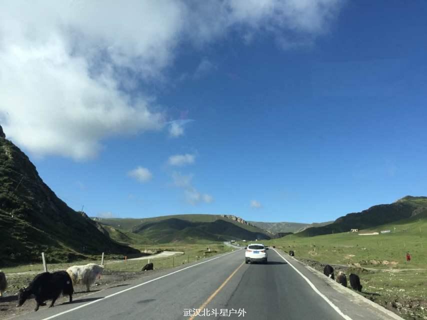 badcea2111335349ccaf1c0bbc9965a6_big