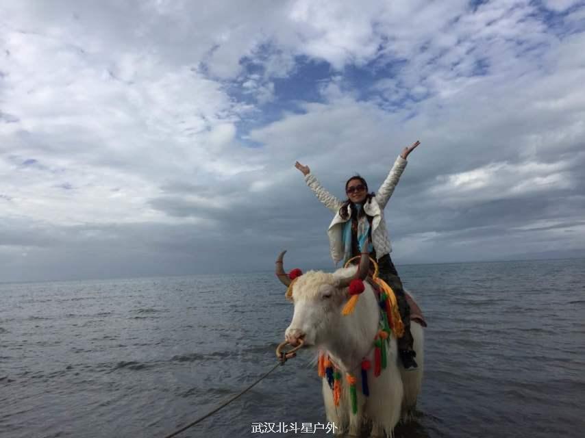 bfe3f5f6bbec1441ec213dcb0c8b82c6_big