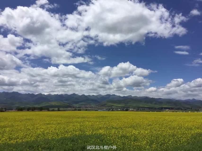 c0be515e9ae0d0fa87305bd58aa5eeb4_big