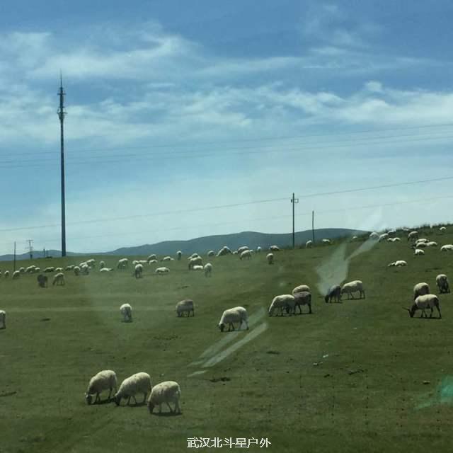 c8eae97ebc0d5e0543c702095b3b23f7_big