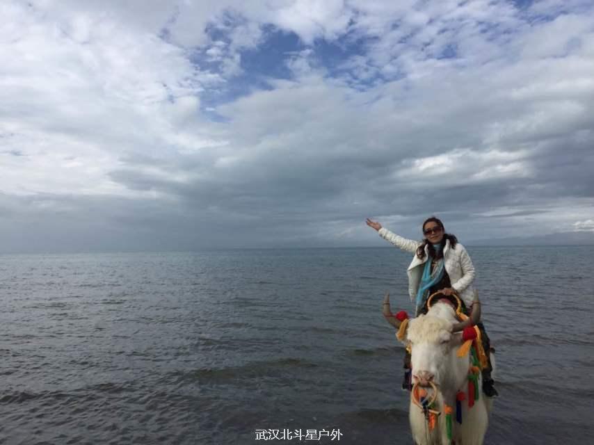 c156c52795e4ef82b75ae2d7447e5b2e_big