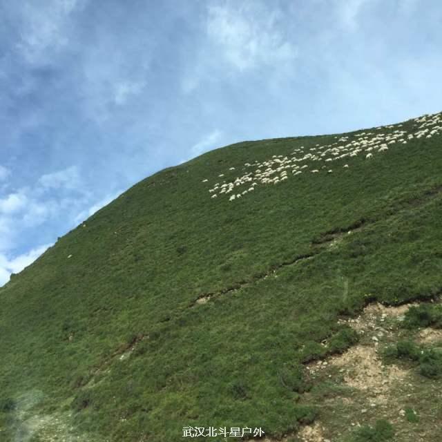 c598e857297b3a16a9bbd422c033c0a4_big