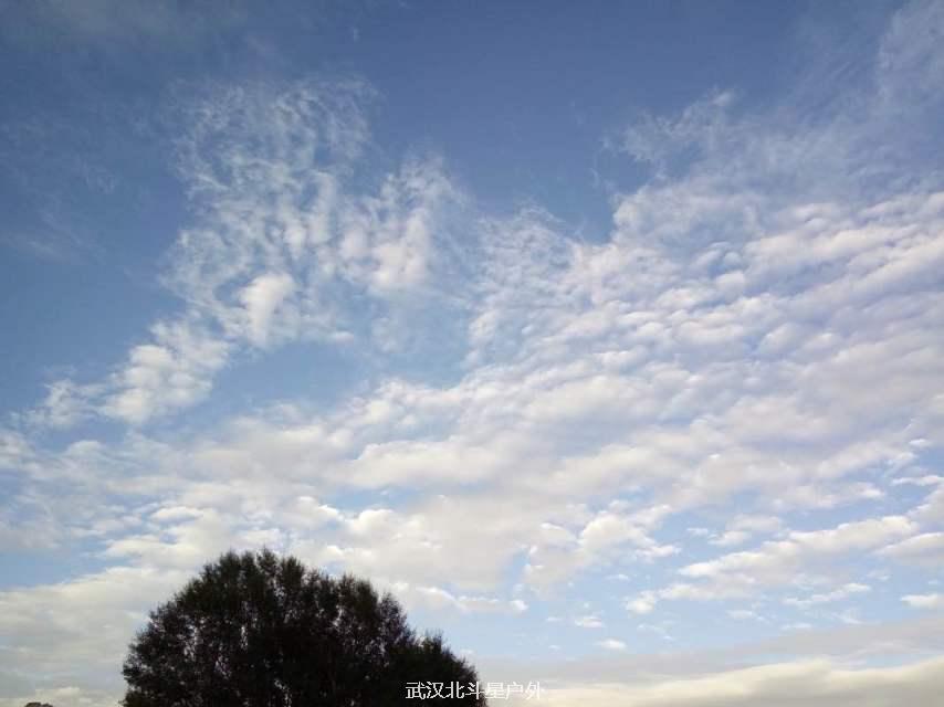 c8610bd8cd8802d2ec176ed26c7a9fa6_big