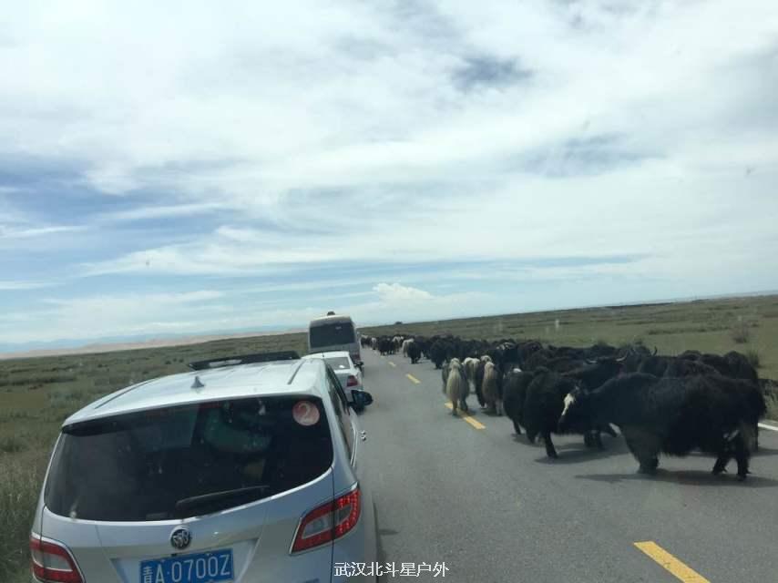 ce525b22d23d89811894f0feda8b5c43_big