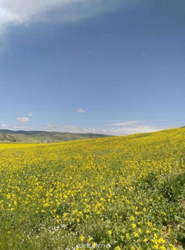 cecb66957b68c3efc49c6f30ea1b813c_big