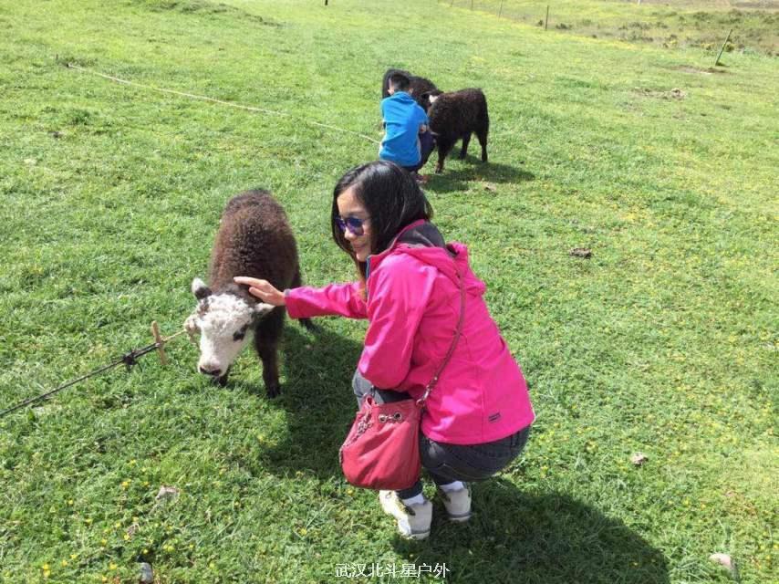 d0d2e2afd9e907df7011d34d51b8a0f7_big