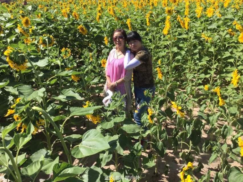 de72295e18c517994c7e61779acdb6c6_big