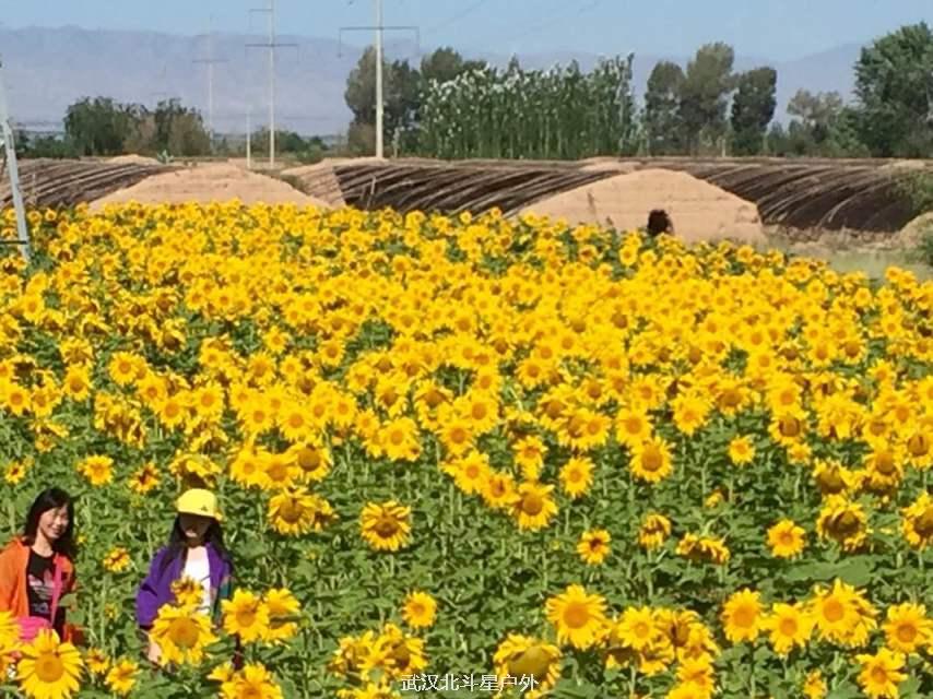 e6e6874d2fa375c526829702fa7be4a2_big