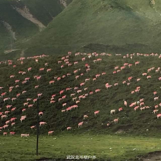 e332acc031f3172a29e3caaca0b4c529_big