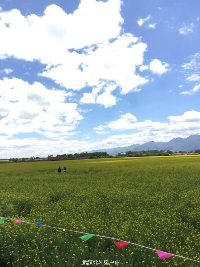 e568231922cf2c60003534fd66ab8c52_big