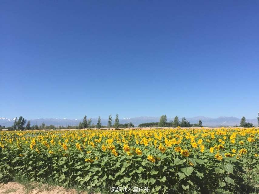 ebb5132f317f5ab30560f9ce761a450a_big