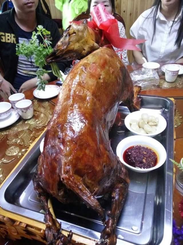 ee3f490241dd71861697185b65df98ed_big