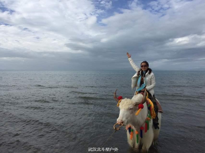 f72042d2e69305c8087fc7be3c76f78f_big