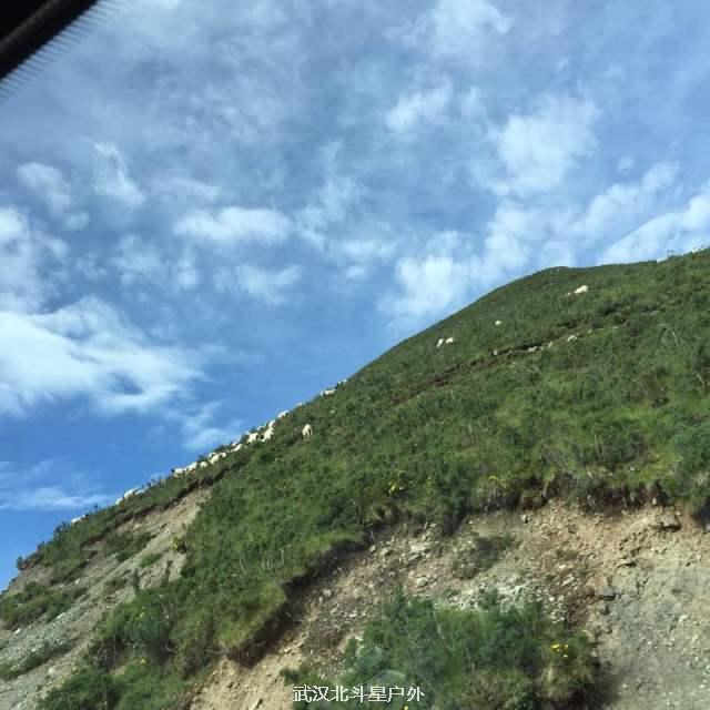 f60591092f9a59bffc68a9e5931a8436_big