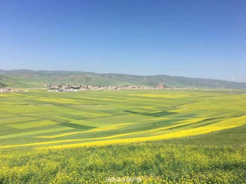 3fb5784c524b2a56ab8dee7c2109d265_big