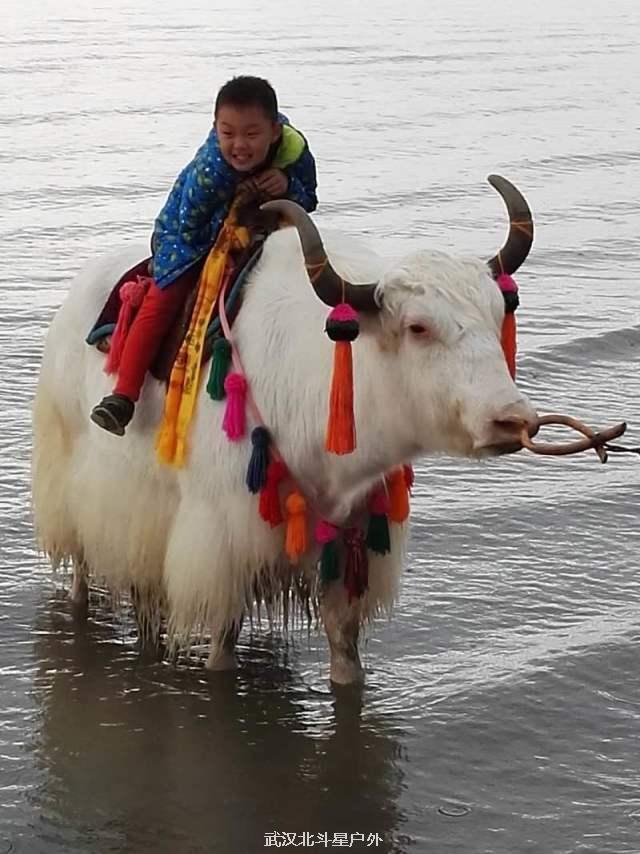 5e11a5f97480610e4e5fe9e82b5cc82d_big