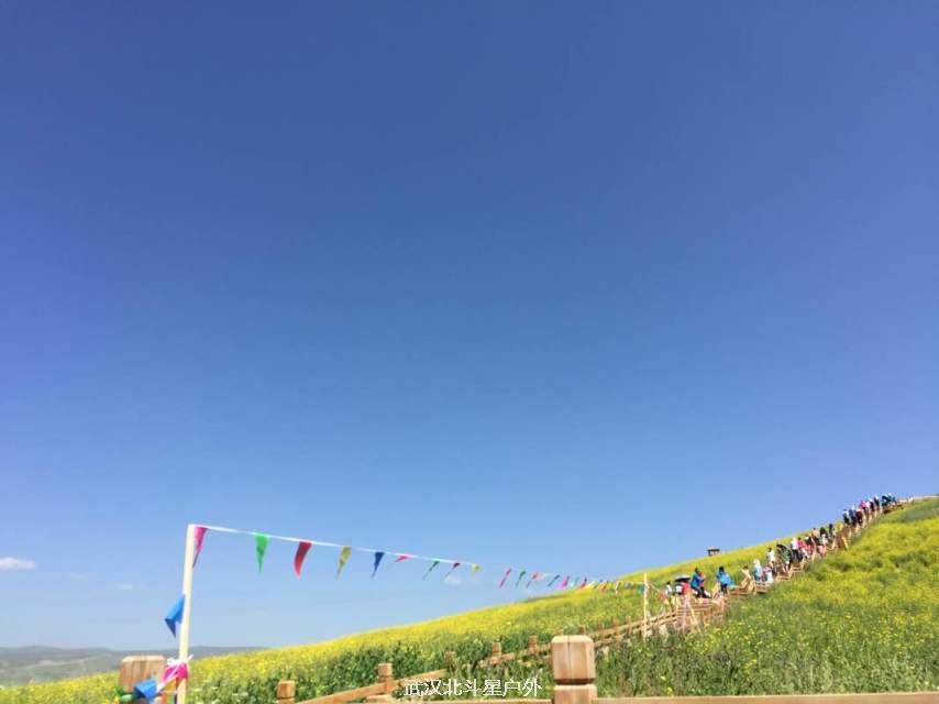 17aaaf6cf2de769666fbf0272bc45599_big