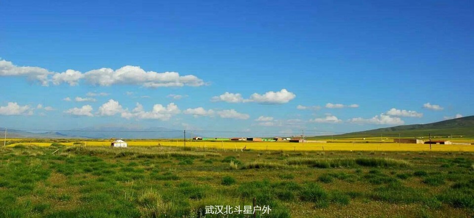 50e09e96743f8257fd96eb8258657667_big