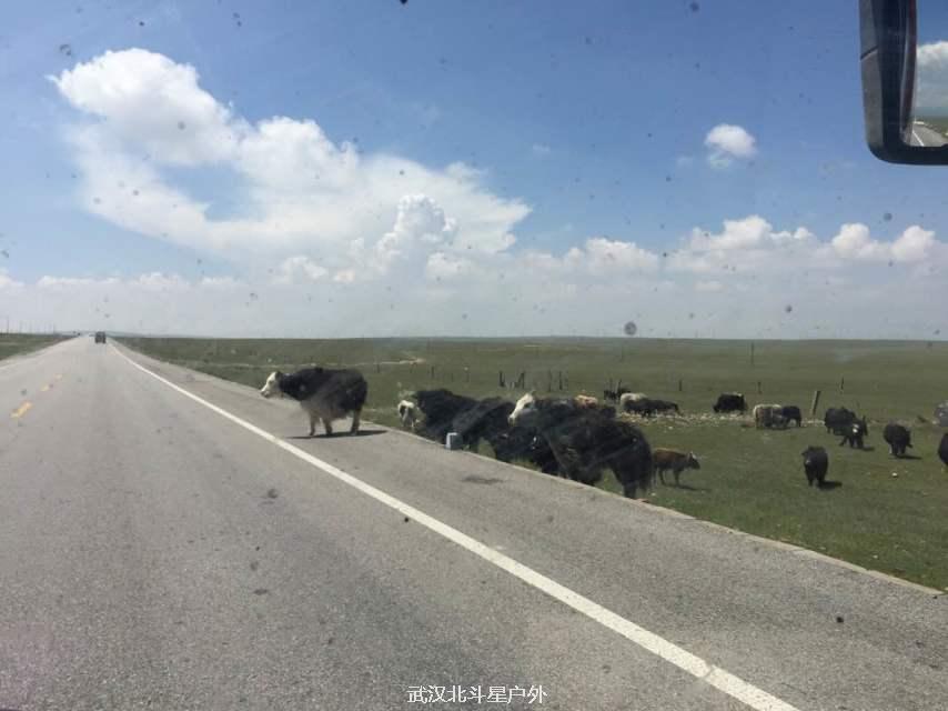 89f25ef801427e5c0aceb854cb00daa0_big