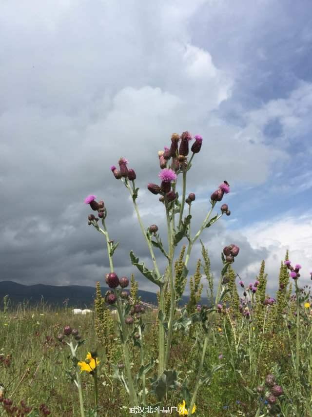 232bdb80e2fad26c6c4d8b8c53d47350_big