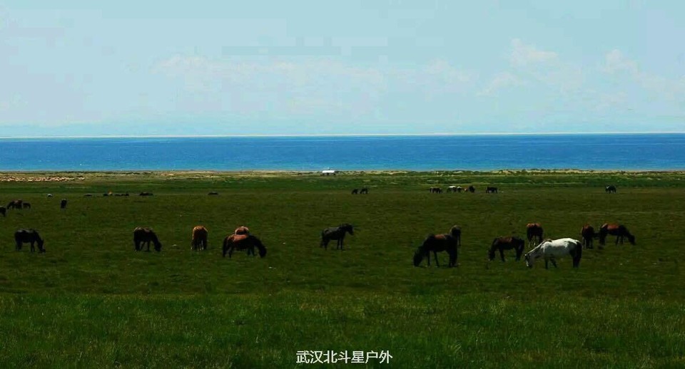 728d8407bb740a879d0a9b42654bb6ea_big