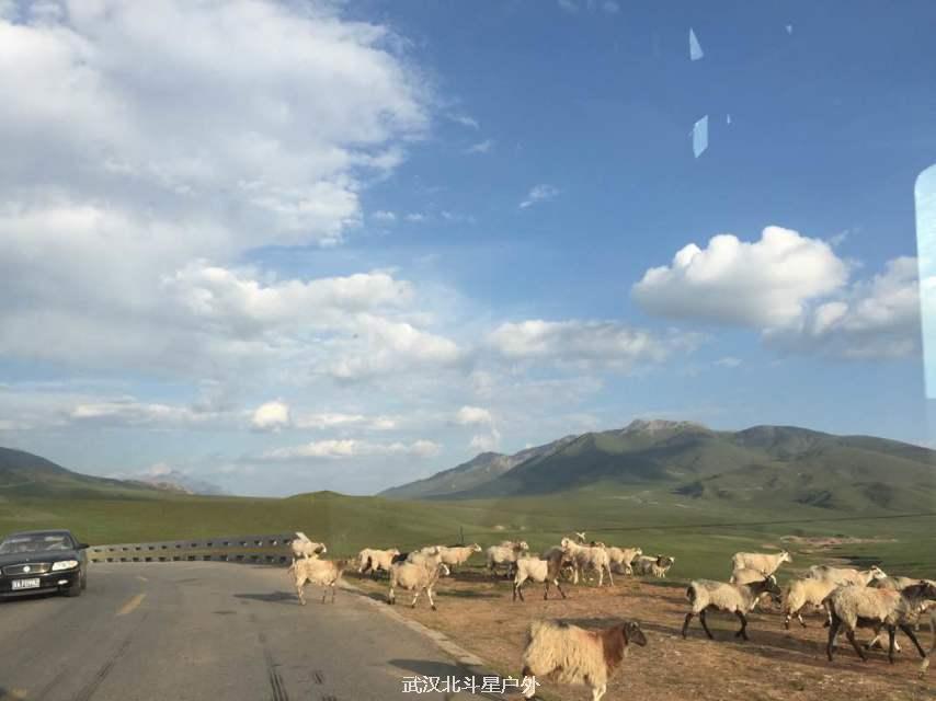 440027a2596e41394a89091dbfb62952_big