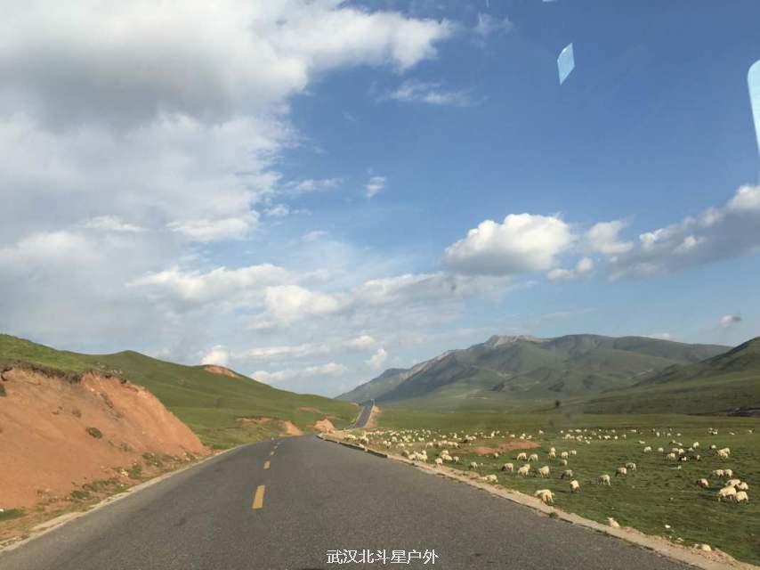 a209b76bbcac59b69424ddc6573e86fa_big