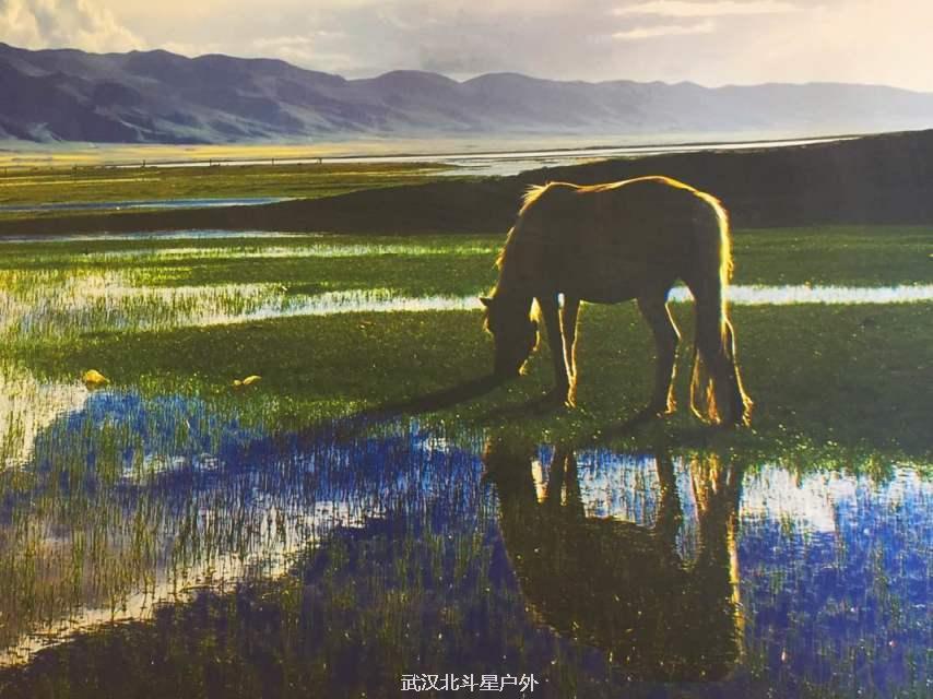 e207ec1e8baae13b71e8a305b3e40db3_big