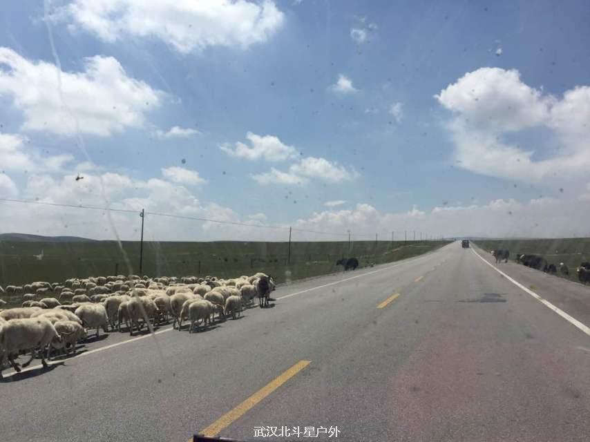 ef8e9356d3768c1ebd80578513b84632_big