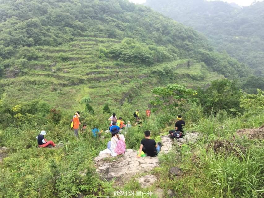 1d1dcc2e090eb94c749d6e2d0ee31d17_big