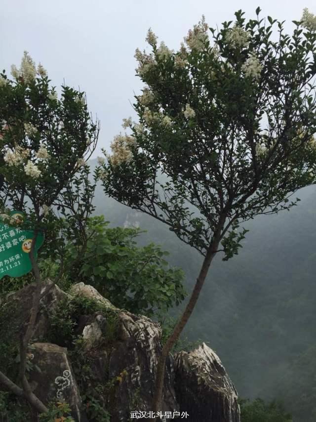 3e4df6d4e4a5fdba67a106c083a22cc6_big