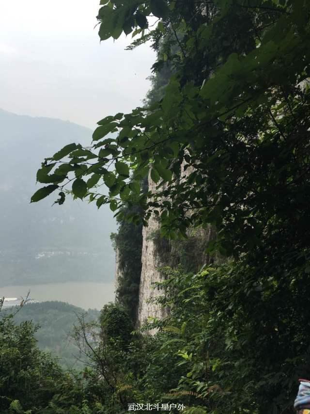 4a51224381fa383cafcc3ccb722305b2_big