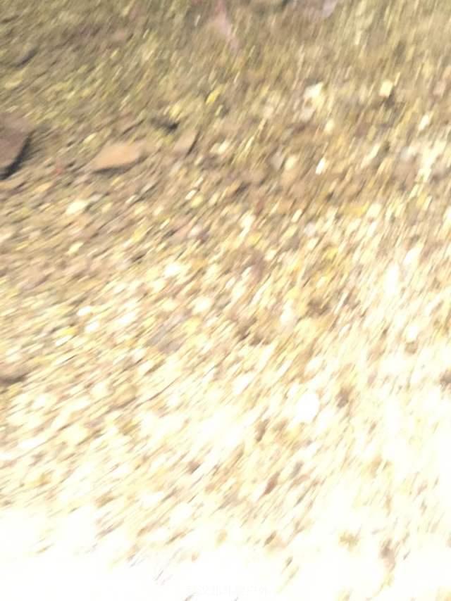 9bdb8d1a25920c40284f5898dbf66a7f_big