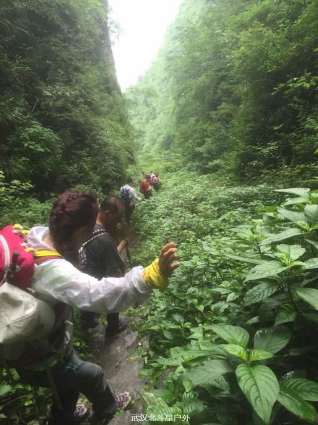 18dd22edb37cf4e76c34ecd456121c6c_big