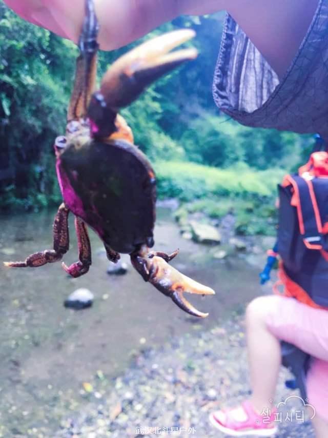 36eee1421ac6f0d73684567b5525cb78_big