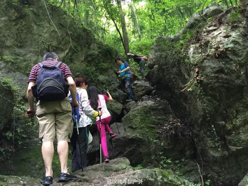 60cff862e609f104a365865a8e83b8e9_big