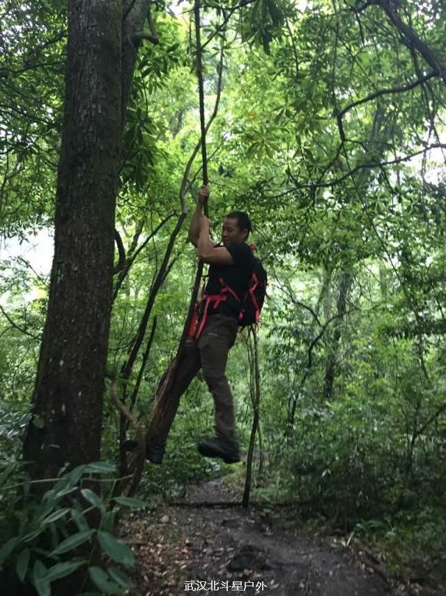 321ba3e7cd25cddde9000b64f880676a_big