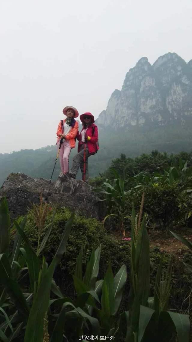 394f12882e46d4399d7d9fb74cbfdf93_big