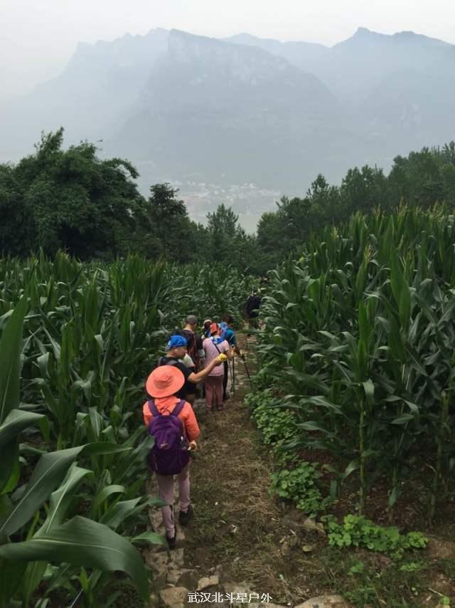 433fc3a63b232cf241292a14cb1d5fd7_big