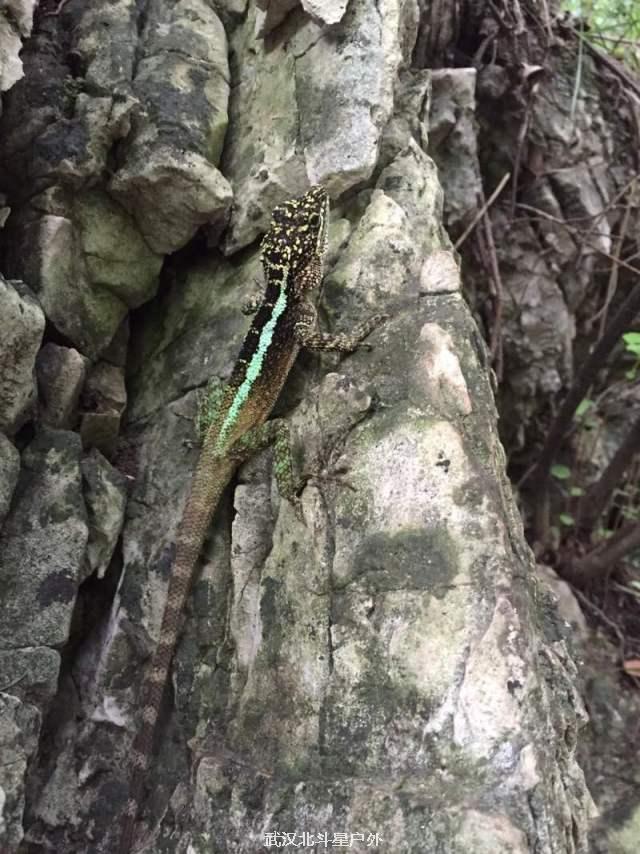 659ebdf0f60c368bb5e8f8ecbbd3c8e0_big