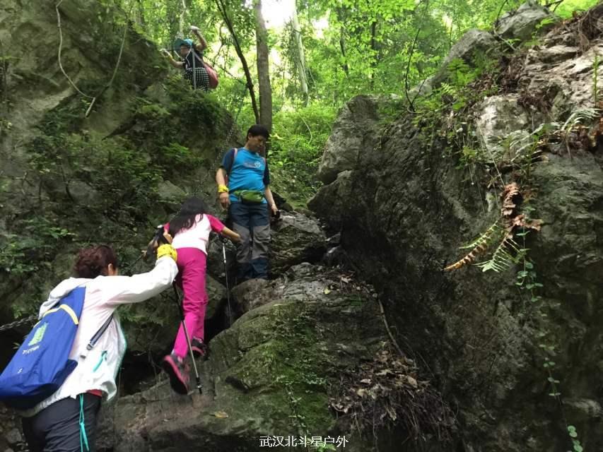 877a079c60a4e58b6a0177e872d1bba2_big