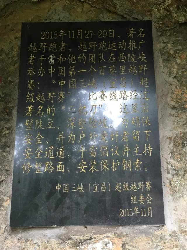 3769f2ede53d9be8aa0c331abad69998_big