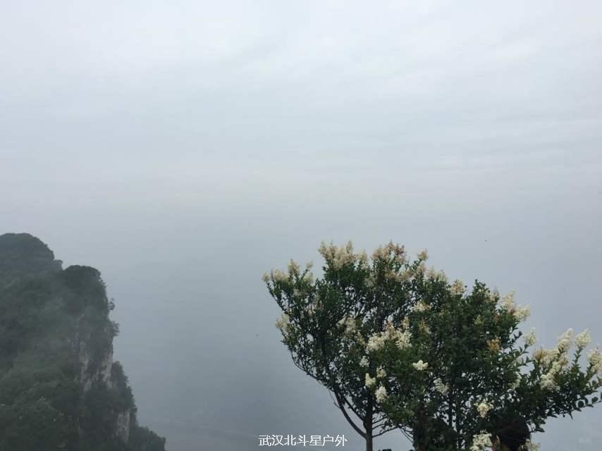 463559c75448c344aae1fc54a568a584_big