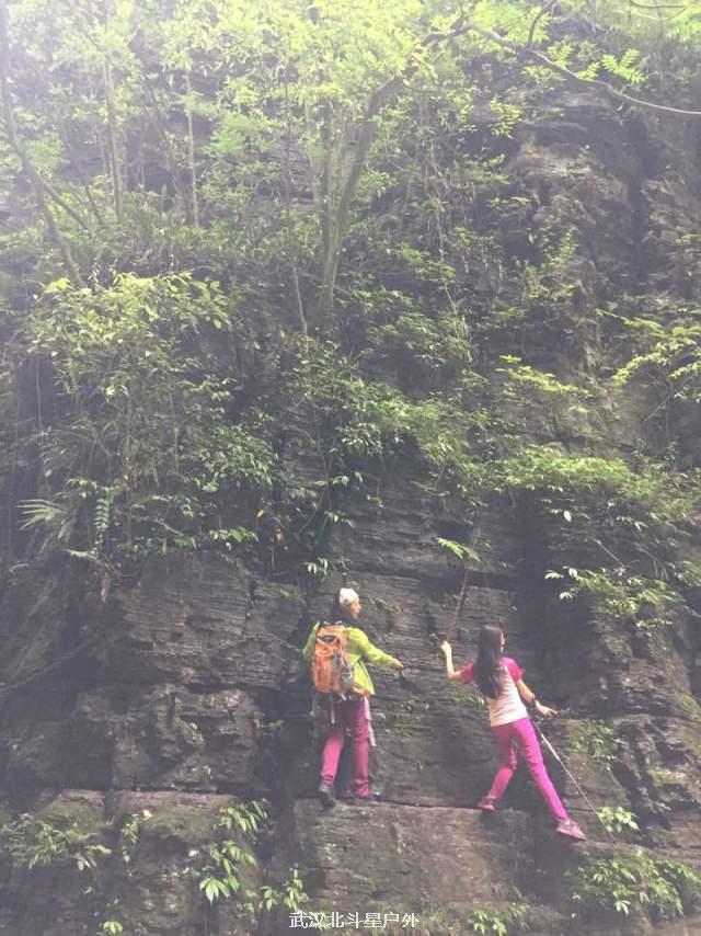 843523af1944535754f753bae72c051e_big