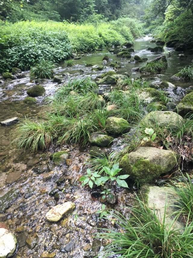 b9e8b7136f84380705273c268a275c94_big